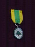 Military Medal (2003)